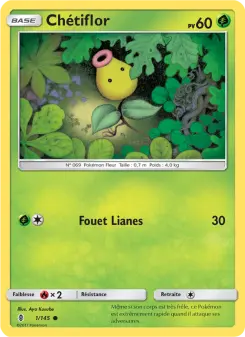 Chétiflor — carte 1 de l’extension Gardiens Ascendants
