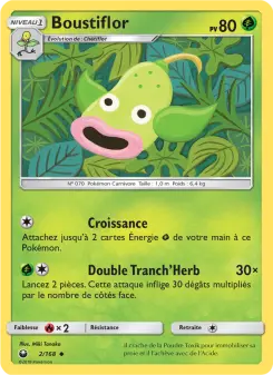 Boustiflor — carte 2 de l’extension Tempête Céleste