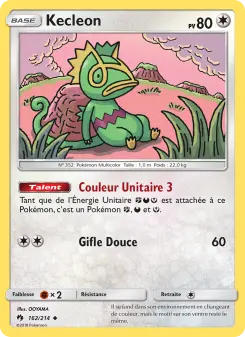 Kecleon — carte 162 de l’extension Tonnerre Perdu