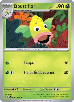 Boustiflor — carte 070 de l’extension 151