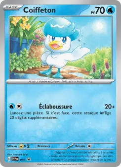 Coiffeton — carte 003 de l’extension SVP Black Star Promos