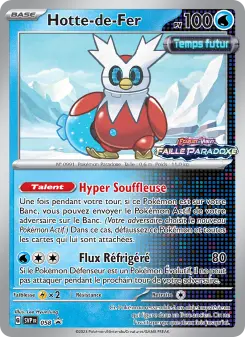 Hotte-de-Fer — carte 058 de l’extension SVP Black Star Promos