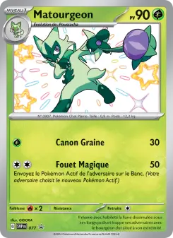 Matourgeon — carte 077 de l’extension SVP Black Star Promos