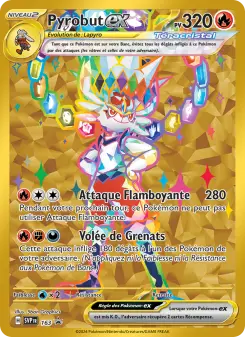 Pyrobut-ex — carte 163 de l’extension SVP Black Star Promos