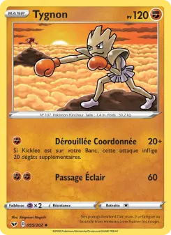 Tygnon — carte 95 de l’extension Épée et Bouclier