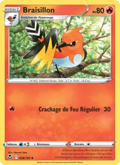 Braisillon — carte 028 de l’extension Tempête Argentée