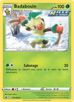 Badabouin — carte 17 de l’extension Règne de Glace