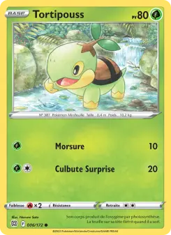 Tortipouss — carte 006 de l’extension Stars Étincelantes