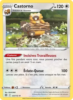 Castorno — carte 121 de l’extension Stars Étincelantes