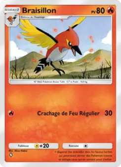 Braisillon — carte 028 de l’extension Gardiens Astraux