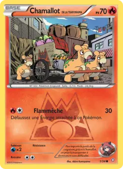 Chamallot de la Team Magma — carte 1 de l’extension Double Danger