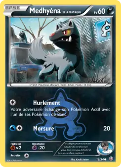 Medhyèna de la Team Aqua — carte 16 de l’extension Double Danger