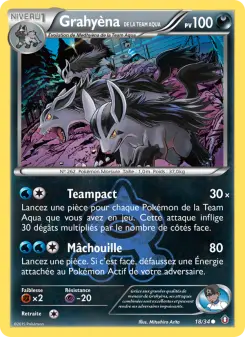 Grahyèna de la Team Aqua — carte 18 de l’extension Double Danger