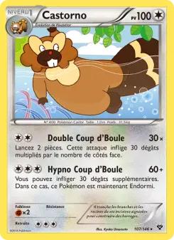 Castorno — carte 107 de l’extension XY