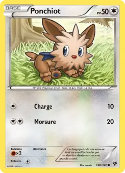 Ponchiot — carte 108 de l’extension XY