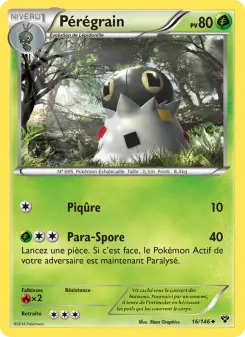 Pérégrain — carte 16 de l’extension XY