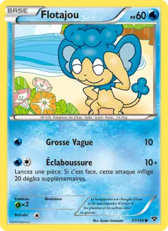 Flotajou — carte 37 de l’extension XY