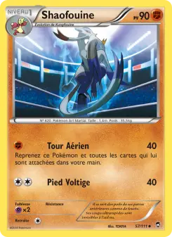 Shaofouine — carte 57 de l’extension Poings Furieux