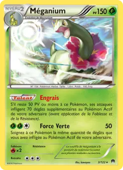 Méganium — carte 3 de l’extension Rupture Turbo