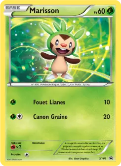 Marisson — carte XY01 de l’extension Promo XY