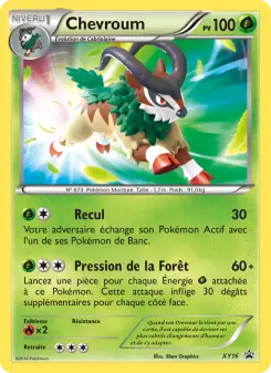 Chevroum — carte XY16 de l’extension Promo XY
